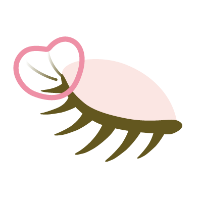 icon eye